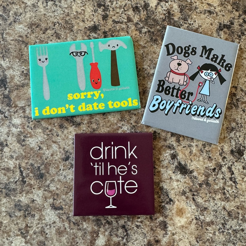 Single Gal Funny Magnet Set